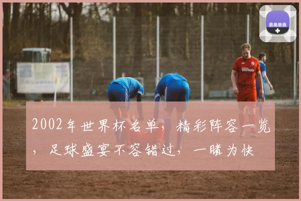 2002年世界杯名单，精彩阵容一览，足球盛宴不容错过，一睹为快