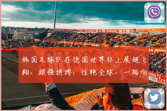 韩国足球队在德国世界杯上展翅飞翔，顽强拼搏，惊艳全球，一路向前