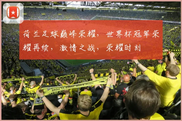 荷兰足球巅峰荣耀，世界杯冠军荣耀再续，激情之战，荣耀时刻