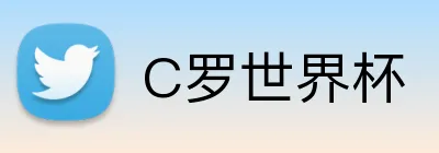C罗世界杯 Logo